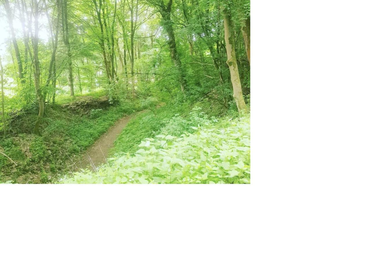 Aussergewoehnliche Auszeit - Metime1 Felsberg Exteriör bild