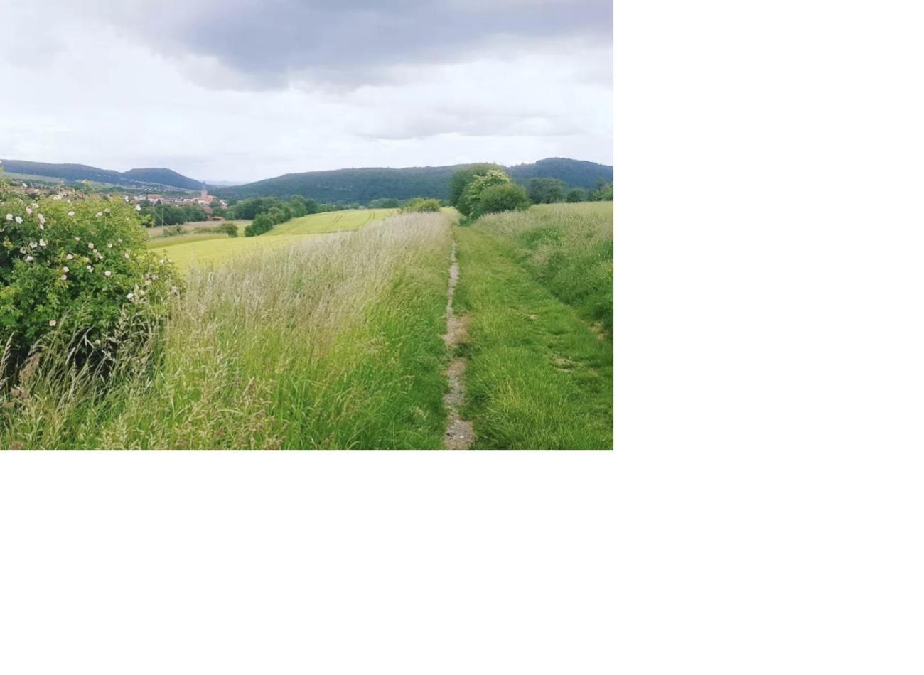 Aussergewoehnliche Auszeit - Metime1 Felsberg Exteriör bild